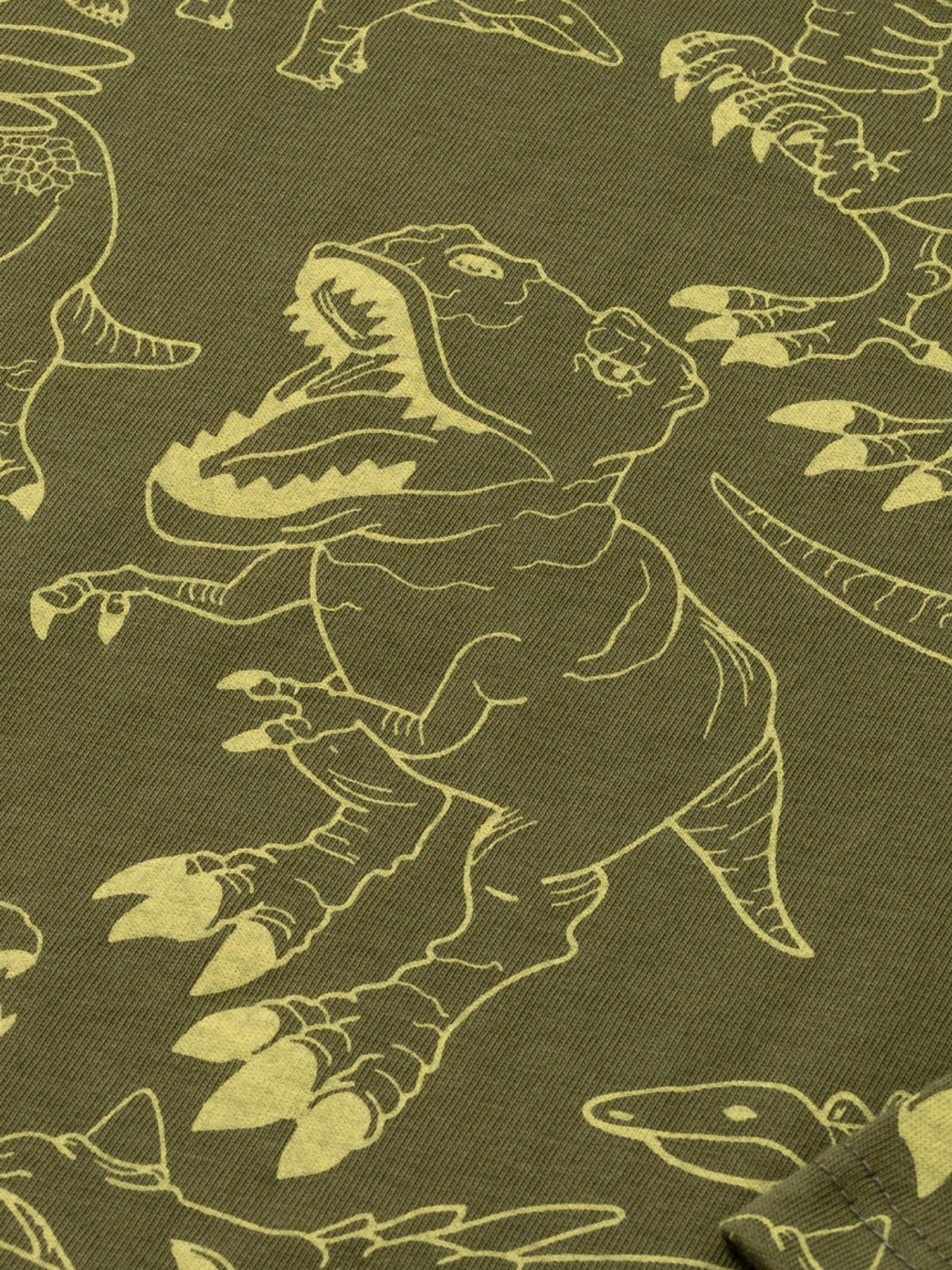 Organické Tričko tmavě zelené dino