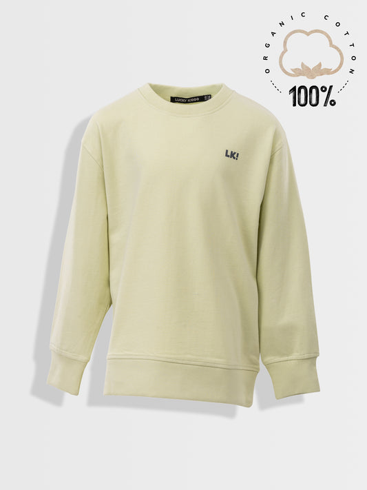 Organický oversized svetr aloe wash donut worry