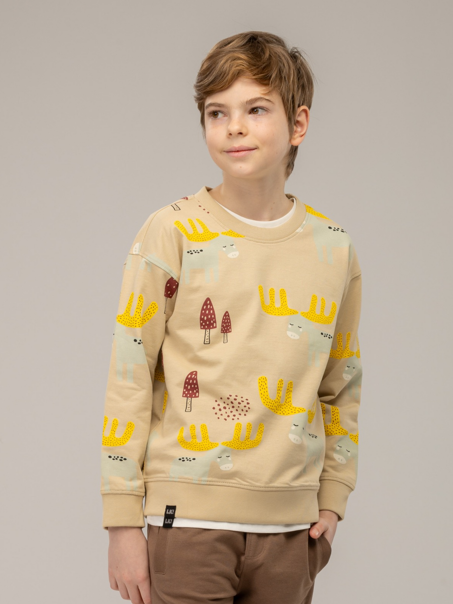 Beige Brown | Chlapecký pulover