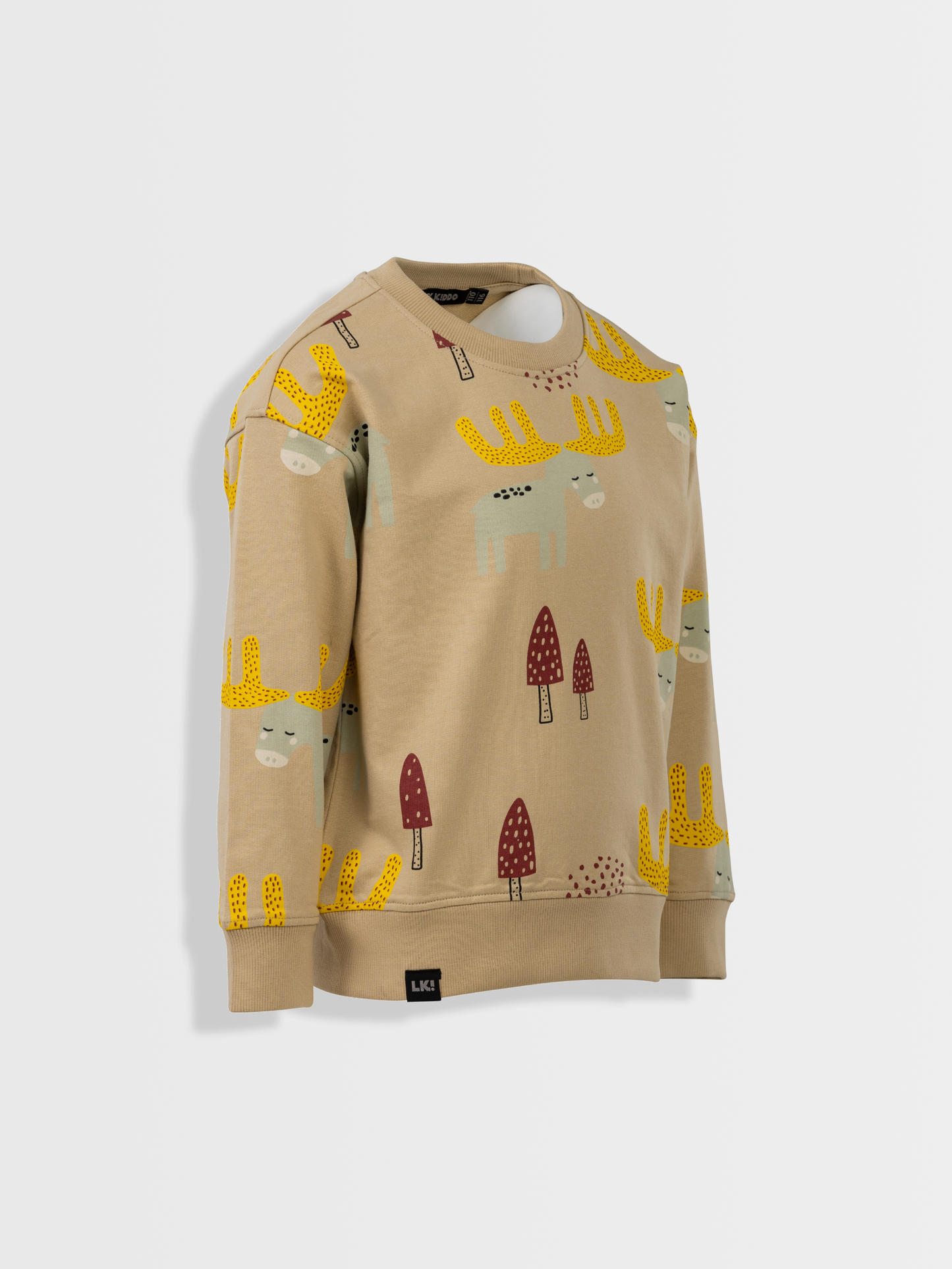 Beige Brown | Chlapecký pulover