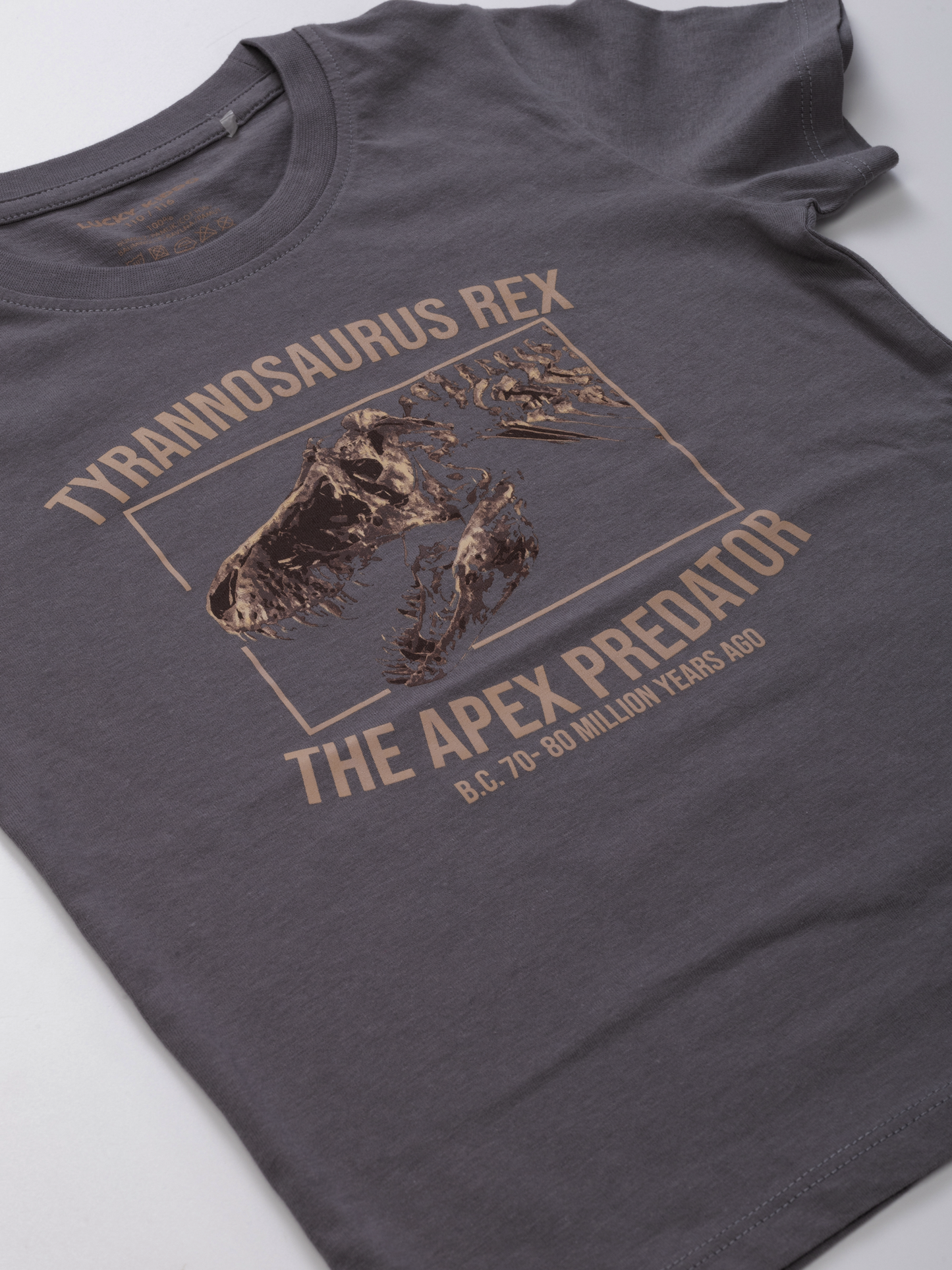 Gargoyle Grey T-Rex | Chlapecké triko s krátkými rukávy