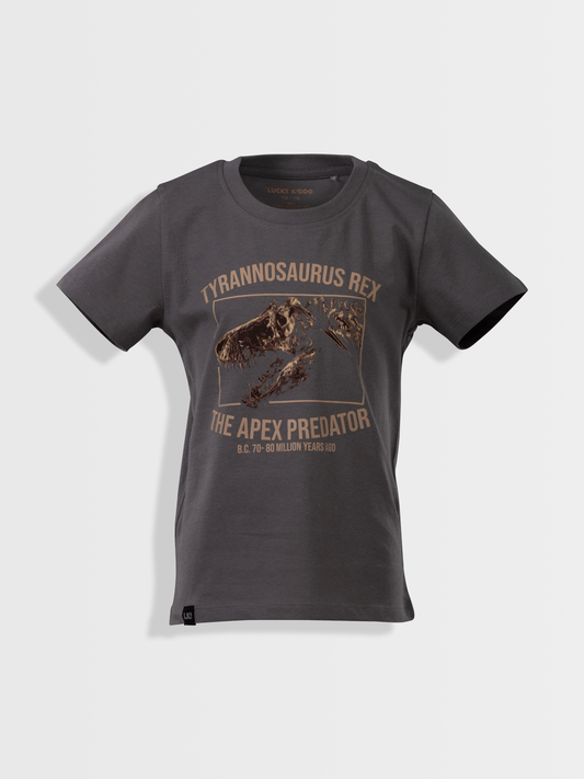 Gargoyle Grey T-Rex | Chlapecké triko s krátkými rukávy