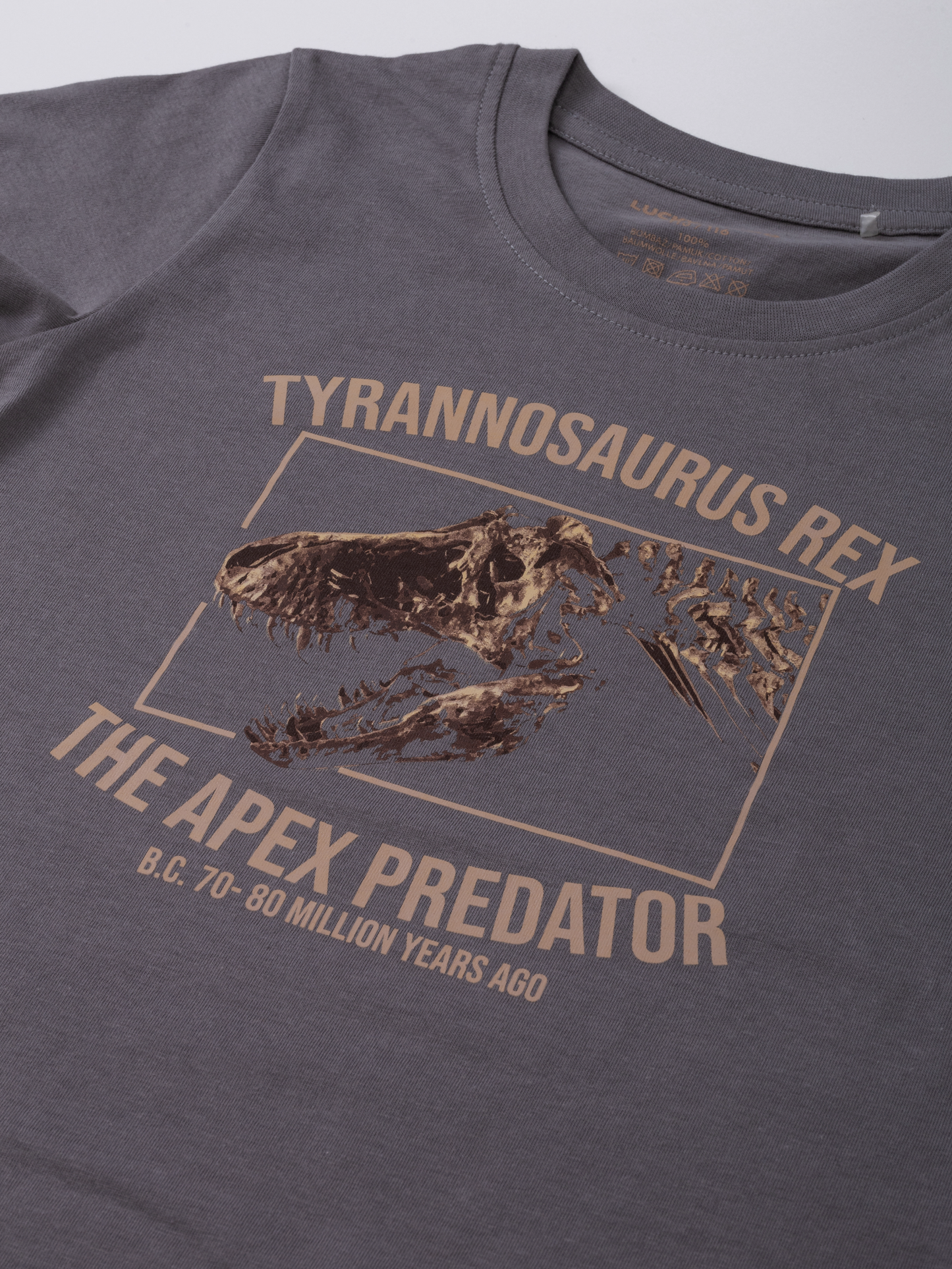 Gargoyle Grey T-Rex | Chlapecké triko s krátkými rukávy