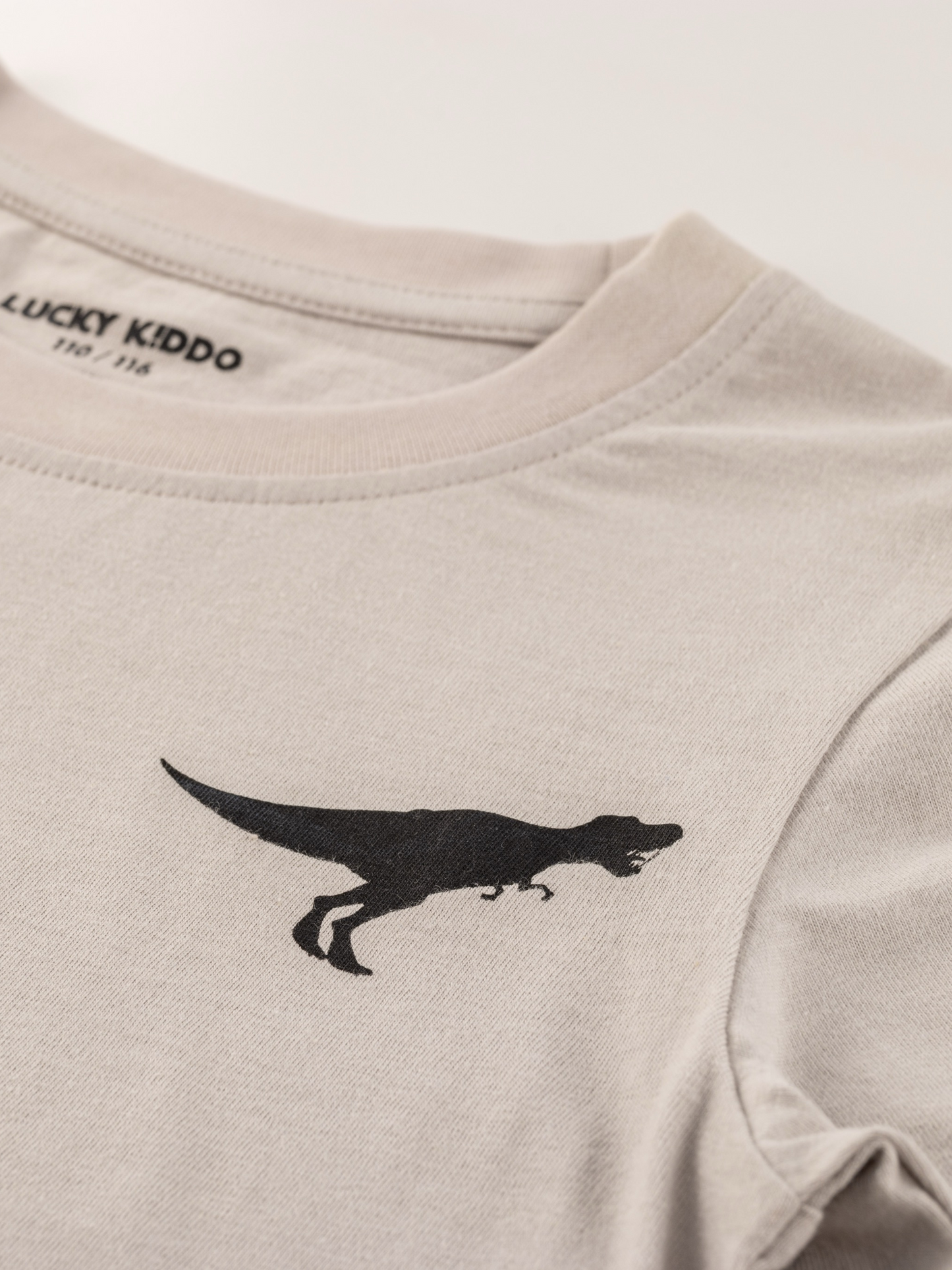 Dino Dawn | Chlapecké triko s dlouhými rukávy