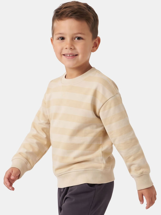 Tan Stripes | Chlapecký pulovr