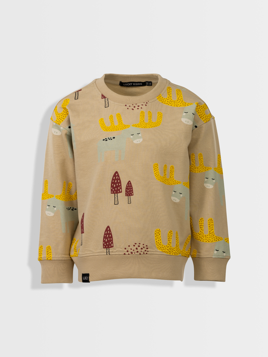 Beige Brown | Chlapecký pulover