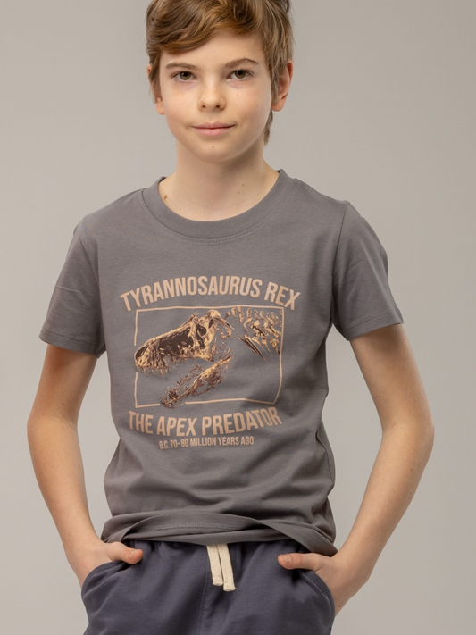 Gargoyle Grey T-Rex | Chlapecké triko s krátkými rukávy