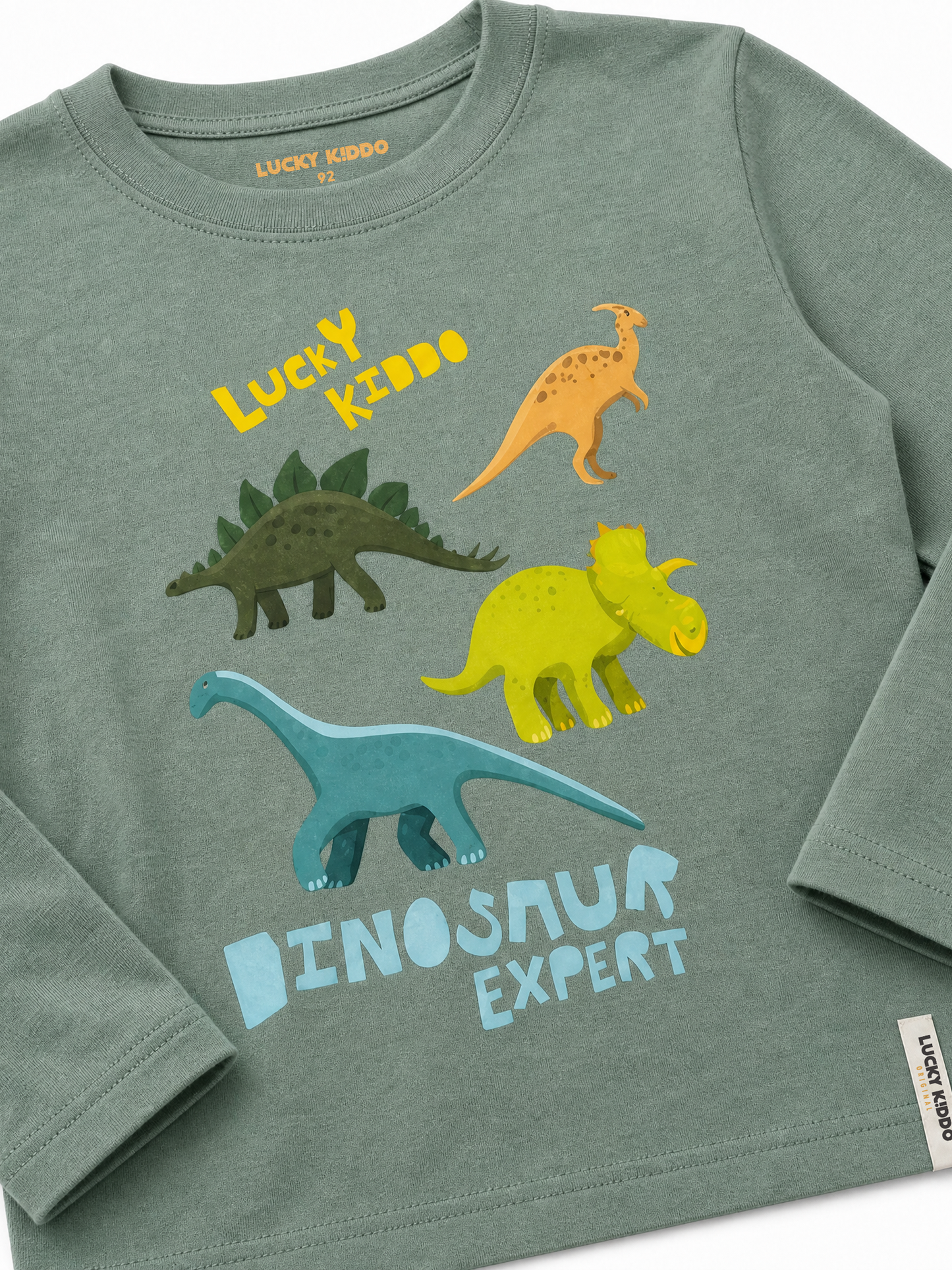 Green Dinosaur Expert | Chlapecké tričko s dlouhými rukávy - klasický střih